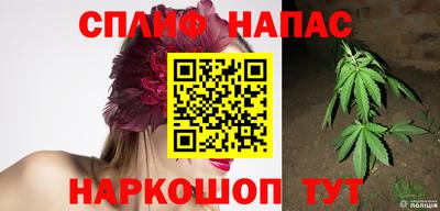 бошки Заводоуковск