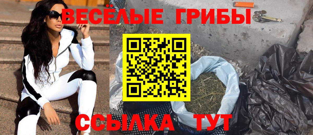 Мытищи  Галлюциногенные грибы мухоморы  Галлюциногенные грибы мицелий  купить   Вход с VPN 